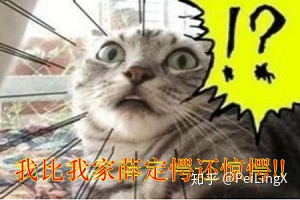 0a791e5dd2a662ad9fbabd9becba327c.png