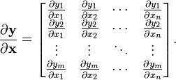 \frac{\partial \mathbf{y}}{\partial \mathbf{x}} =\begin{bmatrix}\frac{\partial y_1}{\partial x_1} & \frac{\partial y_1}{\partial x_2} & \cdots & \frac{\partial y_1}{\partial x_n}\\\frac{\partial y_2}{\partial x_1} & \frac{\partial y_2}{\partial x_2} & \cdots & \frac{\partial y_2}{\partial x_n}\\\vdots & \vdots & \ddots & \vdots\\\frac{\partial y_m}{\partial x_1} & \frac{\partial y_m}{\partial x_2} & \cdots & \frac{\partial y_m}{\partial x_n}\\\end{bmatrix}.