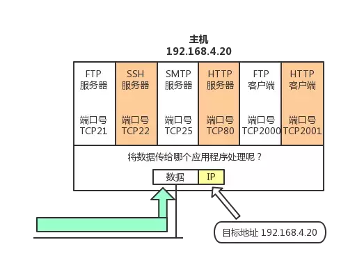 太厉害了，终于有人能把TCP/IP 协议讲的明明白白了