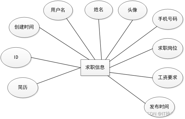 求职信息实体属性图