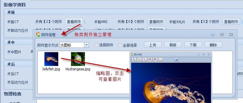 DevExpress Winform界面效果图10