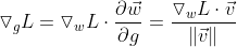 \triangledown _{g}L=\triangledown _{w}L\cdot \frac{\partial \vec{w}}{\partial g}=\frac{\triangledown _{w}L\cdot \vec{v}}{\left \| \vec{v} \right \|}