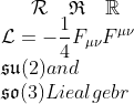 \mathcal{R} \quad \mathfrak{R} \quad \mathbb{R}\\ \mathcal{L} = -\frac{1}{4}F_{\mu\nu}F^{\mu\nu} \\ \mathfrak{su}(2) and \\ \mathfrak{so}(3) Lie algebr