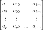 \large \begin{bmatrix} a_{11} &a_{12} & ... &a_{1m} \\ a_{21} & a_{22} & ... &a_{2m} \\ \vdots & \vdots & & \vdots \\ a_{p1} & a_{p2}& ... & a_{pm} \end{bmatrix}