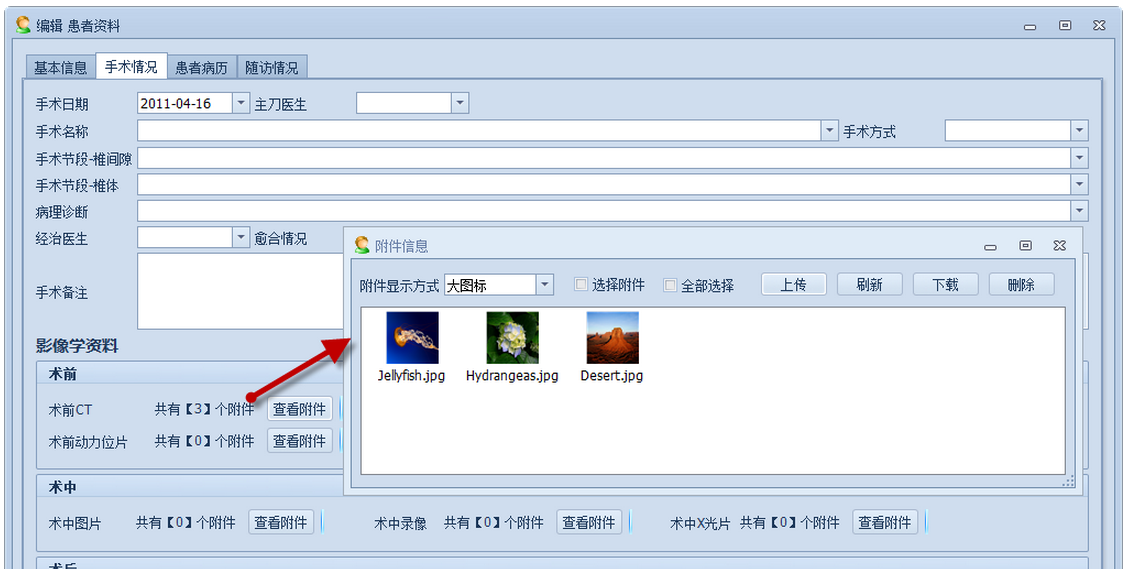 DevExpress Winform界面效果图11