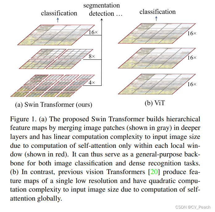 Swin Transformer和Vit