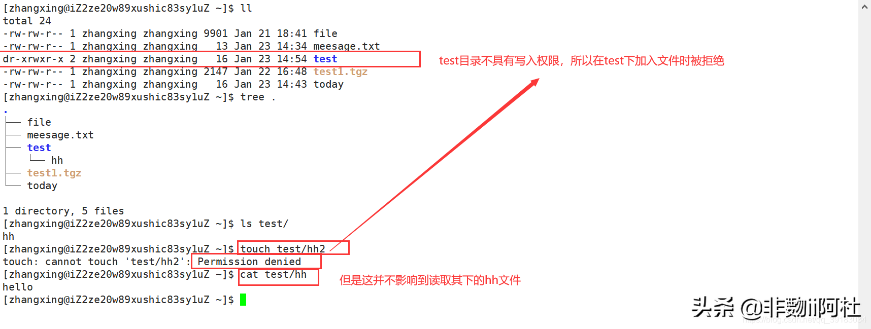 Linux系列_2：Linux权限