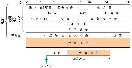 IP数据报格式（转）