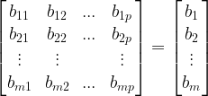 \large \begin{bmatrix}b_{11} &b_{12} & ... &b_{1p} \\ b_{21} & b_{22} & ... &b_{2p} \\ \vdots & \vdots & & \vdots \\ b_{m1} & b_{m2}& ... & b_{mp} \end{bmatrix} = \begin{bmatrix} b_{1}\\ b_{2}\\ \vdots \\ b_{m} \end{bmatrix}