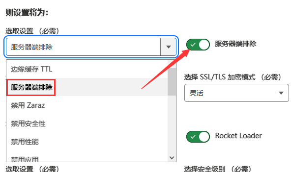 CloudFlare 里的服务器端排除是啥意思？