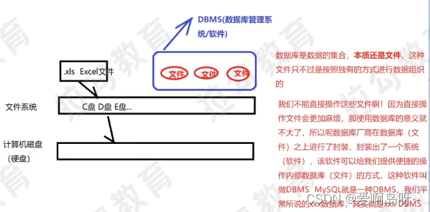 数据库