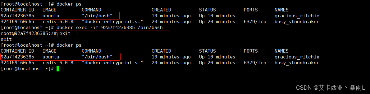 docker exec -it 容器ID /bin/bash