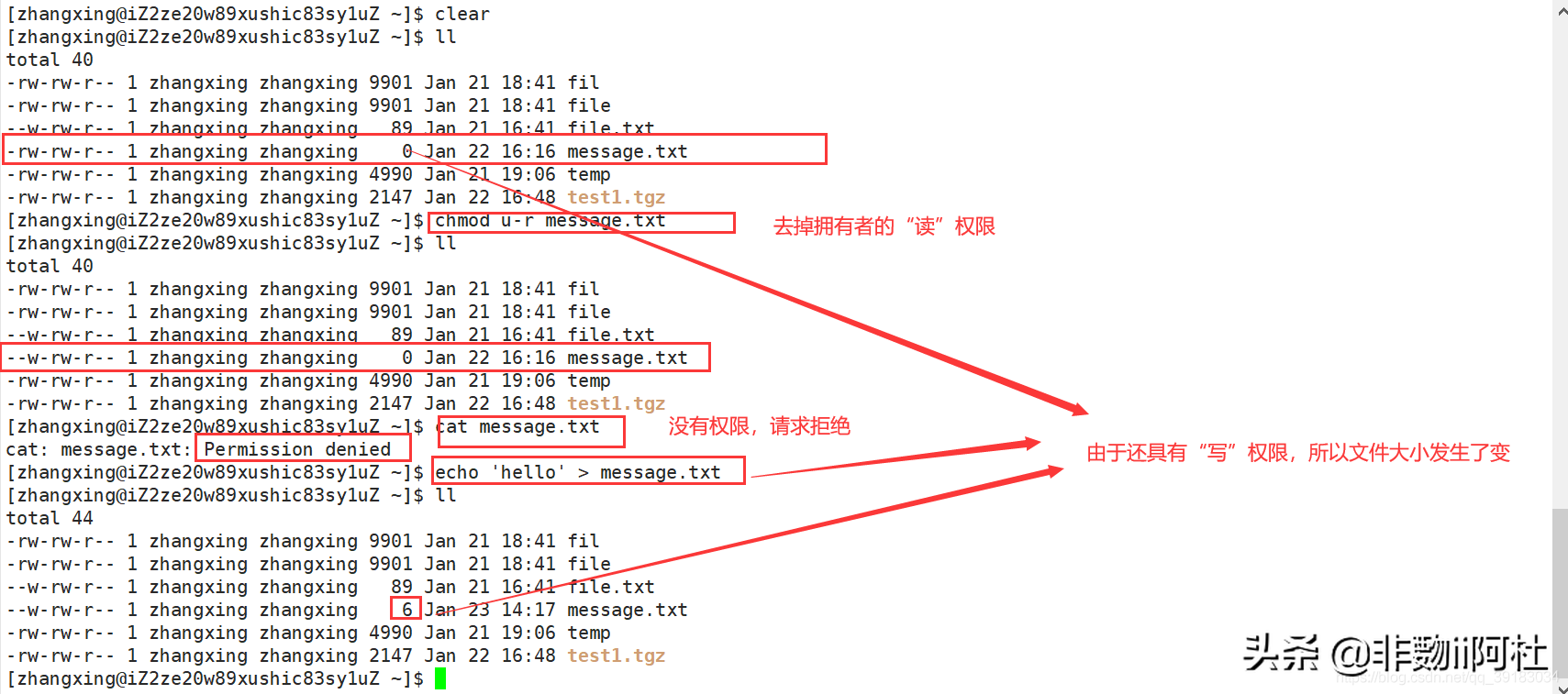 Linux系列_2：Linux权限