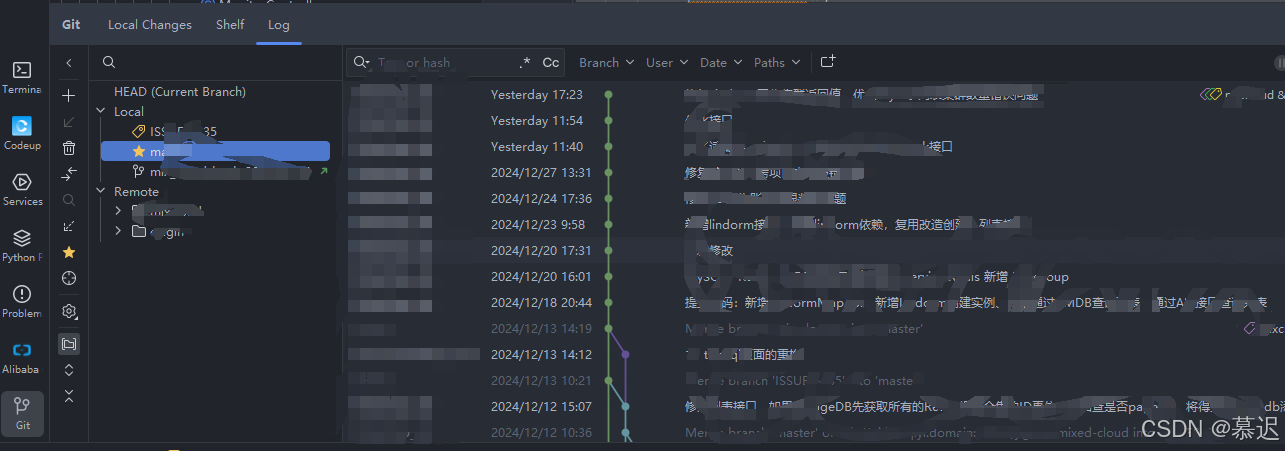 log界面显示分支和日志