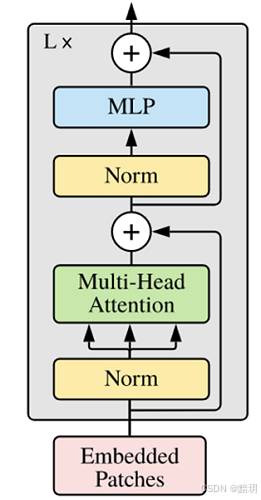 vit-encoder