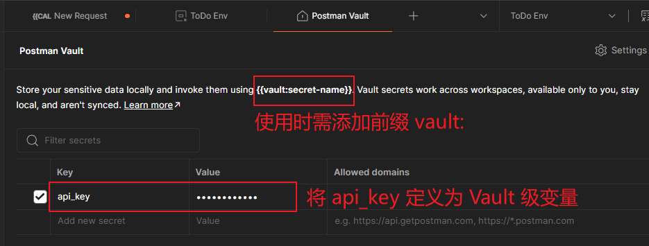 图 11.8 利用 Vault 级变量实现数据的加密存储，甚至可以限定域名，且不会同步到 Postman 服务器