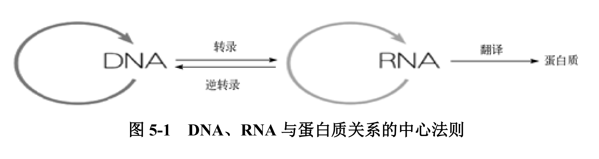 完整版的pdf报告，请前往知识星球【行业报告】专栏获取