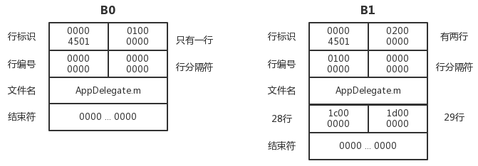 图6 B0，B1 对应行信息