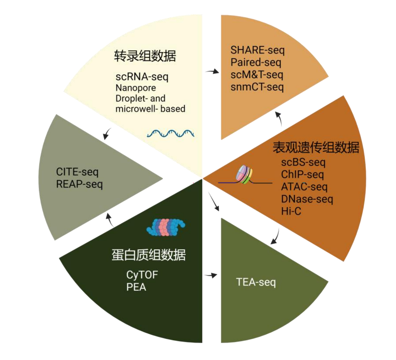 完整版的pdf报告，请前往知识星球【行业报告】专栏获取