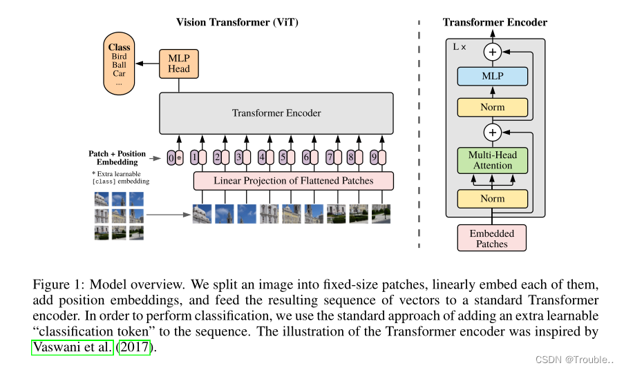 [外链图片转存失败,源站可能有防盗链机制,建议将图片保存下来直接上传(img-D2j6w2rt-1673337756812)(An Image is Worth 16x16 Words Transformers for Image Recognition at Scale.assets/image-20230110115318606.png)]