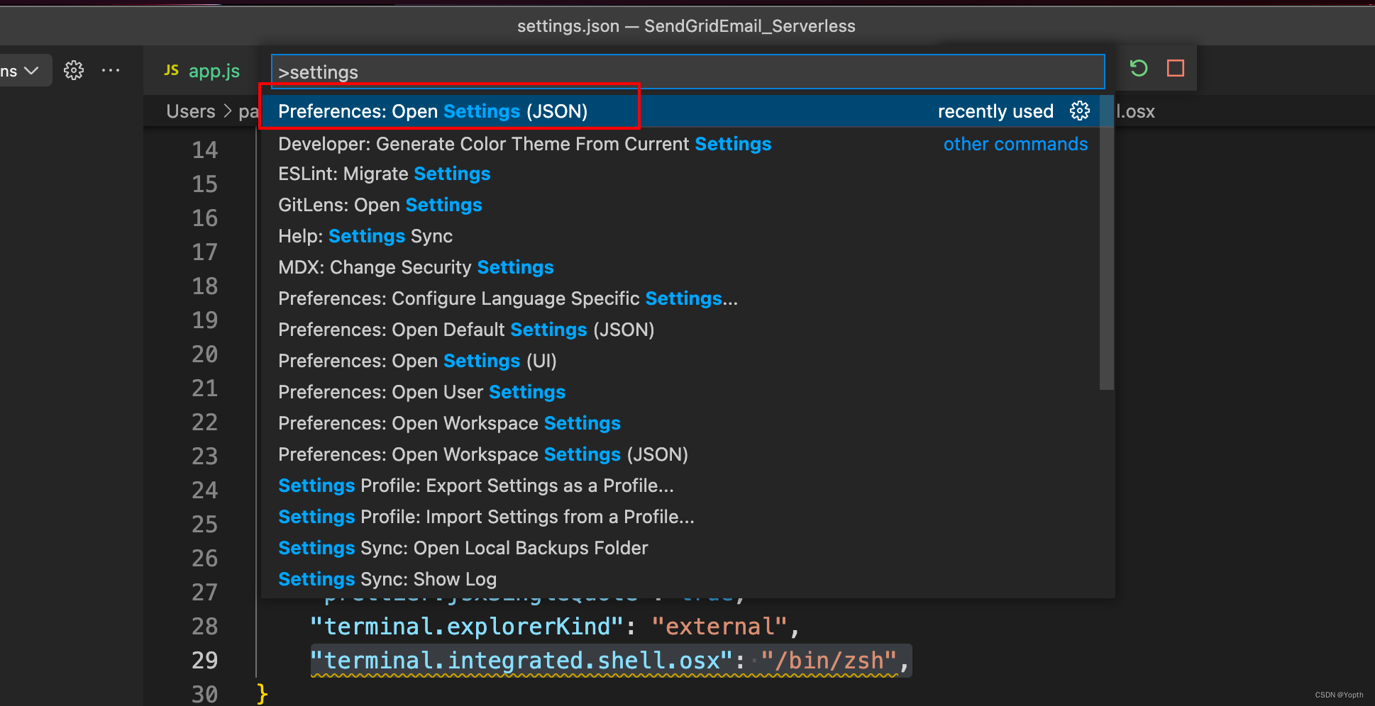 2 setting.json