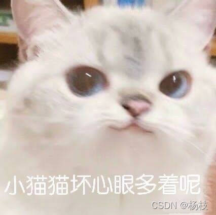 小猫咪心思可坏着了