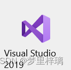 VS2019