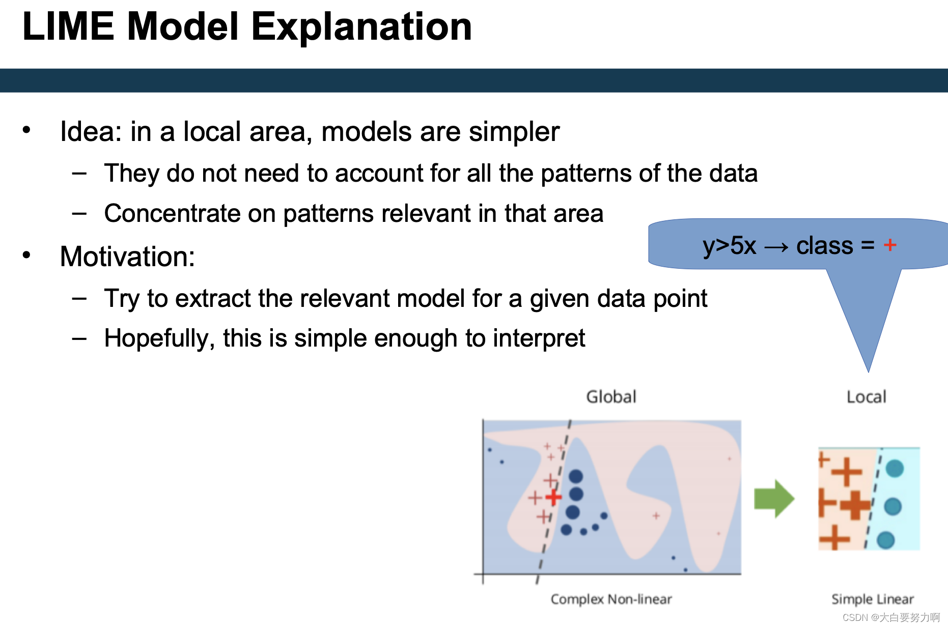 LIME Model Explanation