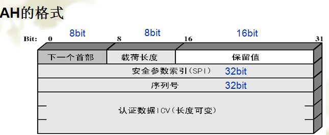 数据包结构分析_数据包结构_31