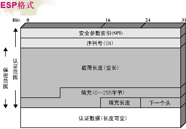 数据包结构分析_数据包结构_32