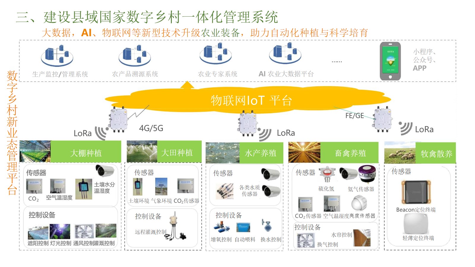 数字乡村一体化解决方案（45页PPT） 精品方案 第12张