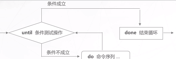 Shell编程之循环语句与函数_for循环_21