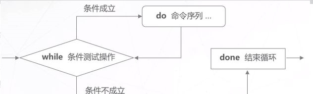 Shell编程之循环语句与函数_for循环_14