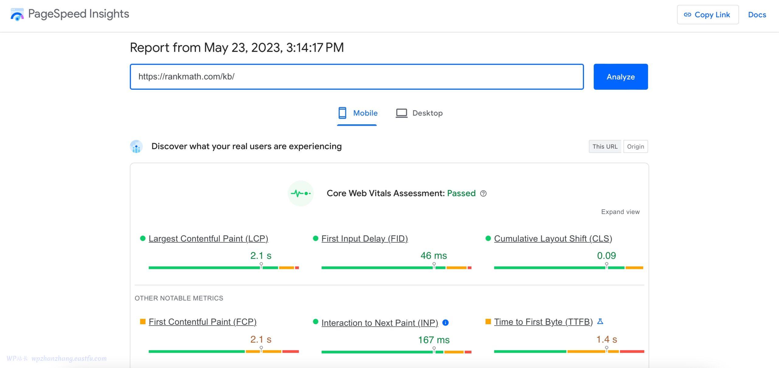 PageSpeed Insights 工具