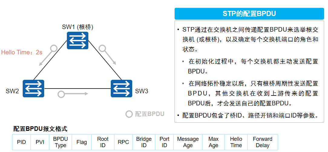 BPDU泛洪