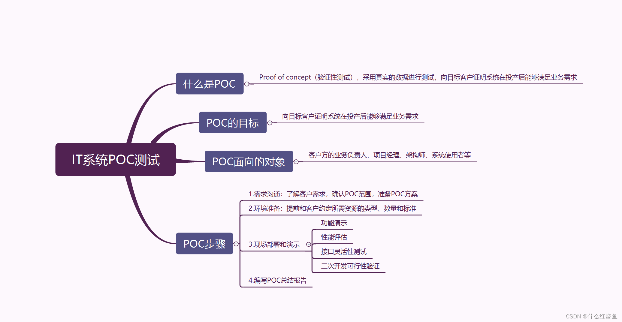 IT系统POC测试图释