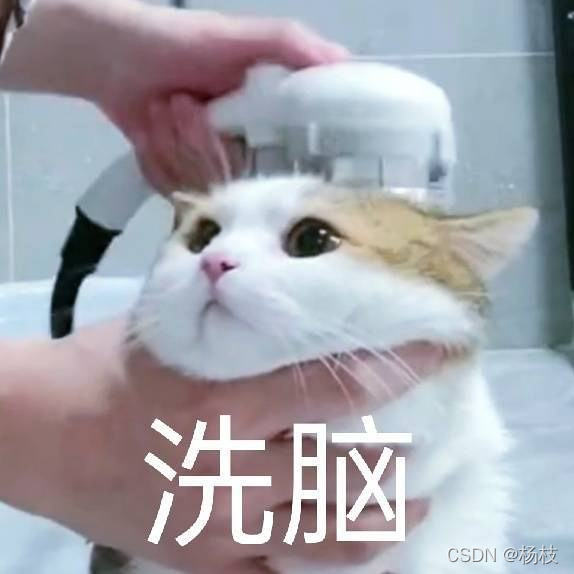 洗脑