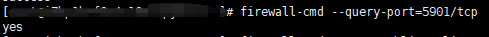 5901端口已开放