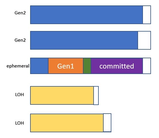 segments