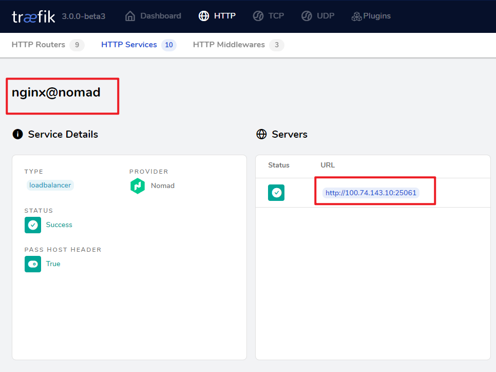 Traefik Dashboard - hashicups nginx service