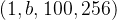 (1,b,100,256)