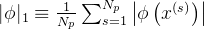 |\phi|_{1} \equiv \frac{1}{N_{p}} \sum_{s=1}^{N_{p}}\left|\phi\left(x^{(s)}\right)\right|