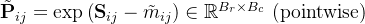 \tilde{\mathbf{P}}_{i j}=\exp \left(\mathbf{S}_{i j}-\tilde{m}_{i j}\right) \in \mathbb{R}^{B_{r} \times B_{c}} \text { (pointwise) }