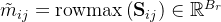 \tilde{m}_{i j}=\operatorname{rowmax}\left(\mathbf{S}_{i j}\right) \in \mathbb{R}^{B_{r}}