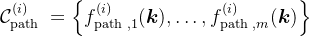 \mathcal{C}_{\text {path }}^{(i)}=\left\{f_{\text {path }, 1}^{(i)}(\boldsymbol{k}), \ldots, f_{\text {path }, m}^{(i)}(\boldsymbol{k})\right\}