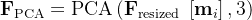 \mathbf{F}_{\mathrm{PCA}}=\operatorname{PCA}\left(\mathbf{F}_{\text {resized }}\left[\mathbf{m}_{i}\right], 3\right)