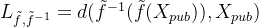 L_{\tilde{f}, \tilde{f}^{-1}} = d(\tilde{f}^{-1}(\tilde{f}(X_{pub})), X_{pub})