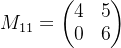 M_{11}=\begin{pmatrix} 4 &5 \\ 0 & 6 \end{pmatrix}